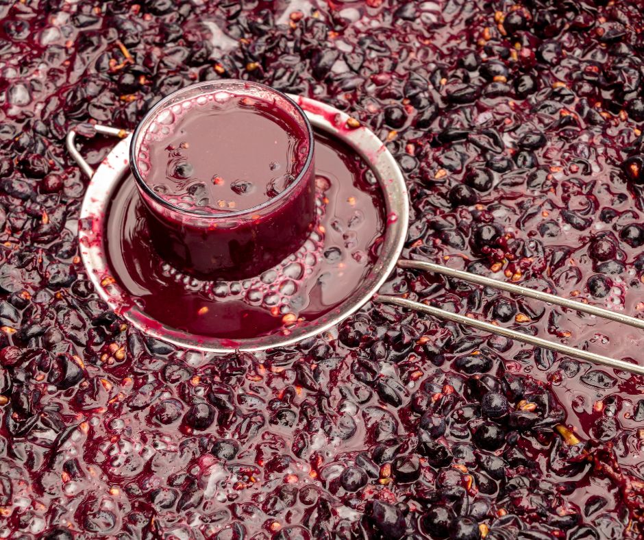 Los polifenoles del vino ¿Que son y para que sirven?