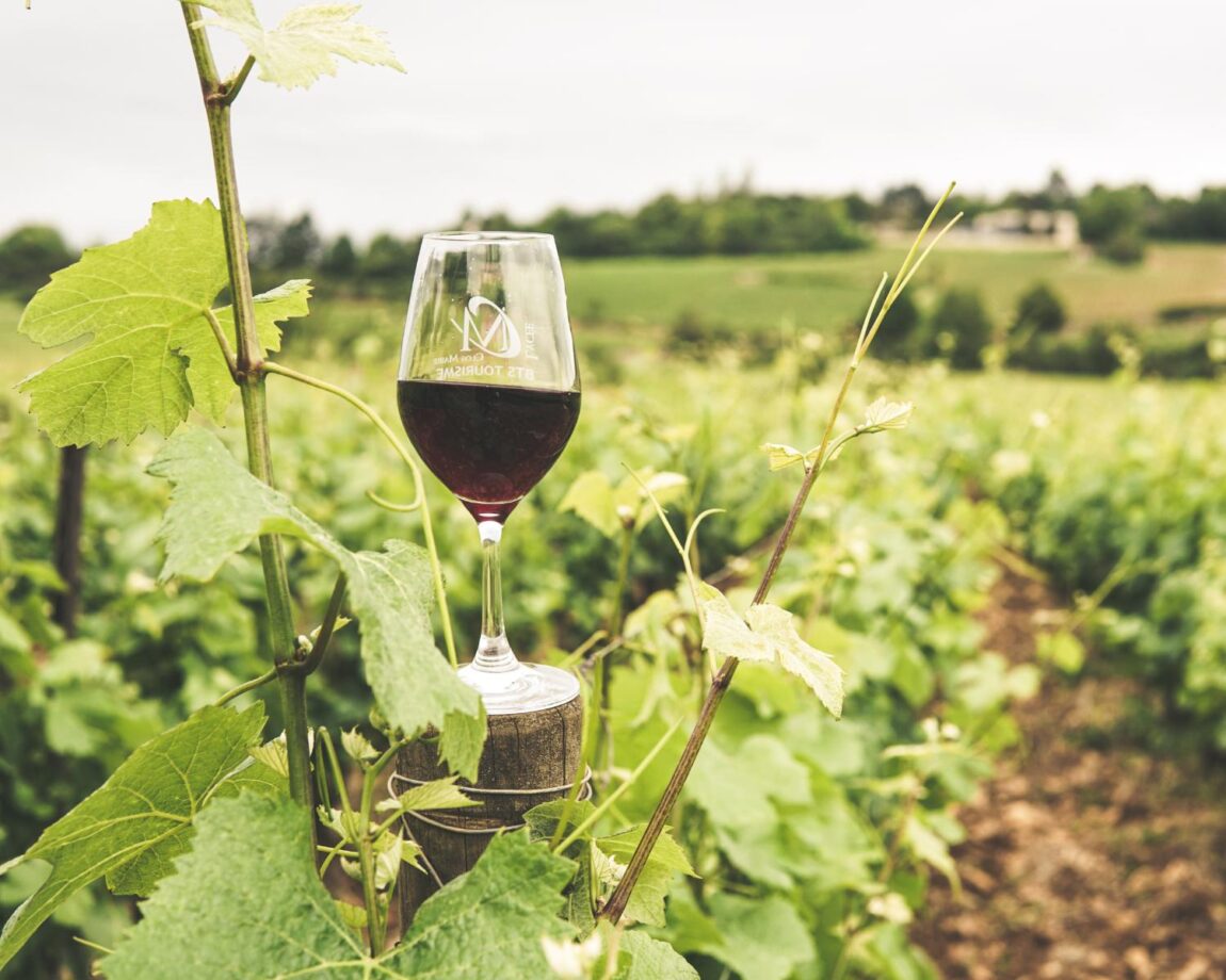 Els errors més comuns en servir i gaudir del vi (i com evitar-los)