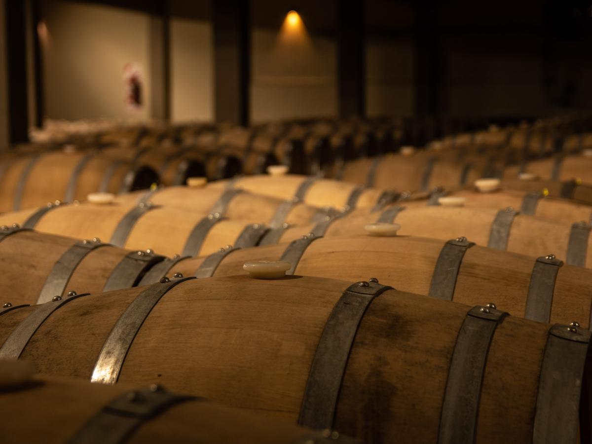 Del cinema al vi: Actors i celebritats amb els seus propis cellers