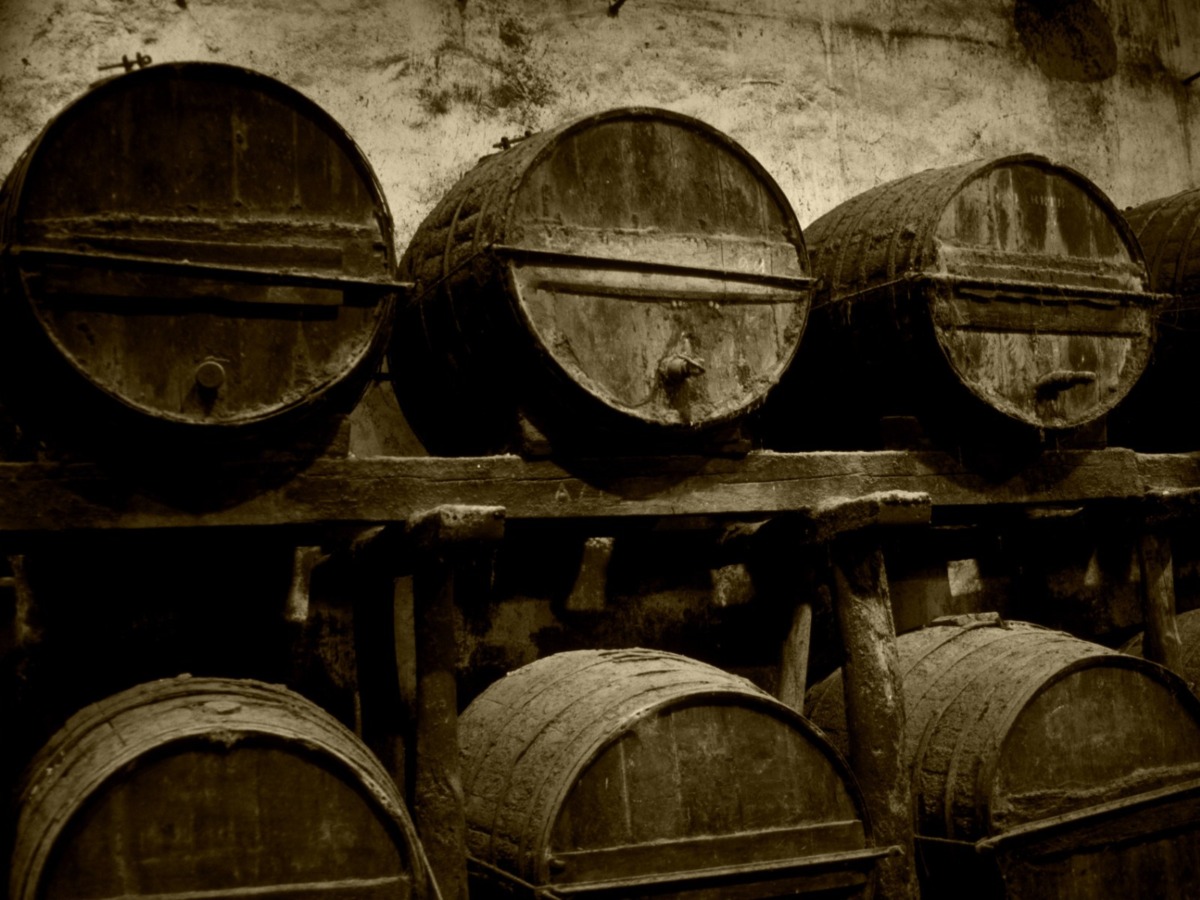 El fascinante origen del vino: Un viaje a los inicios de una bebida milenaria